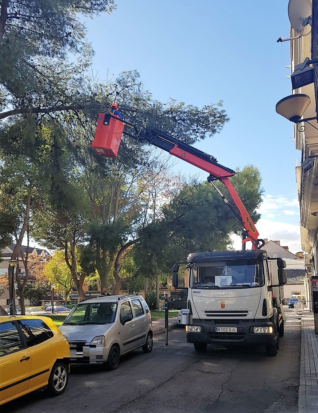 Comienzan los trabajos de poda en el municipio