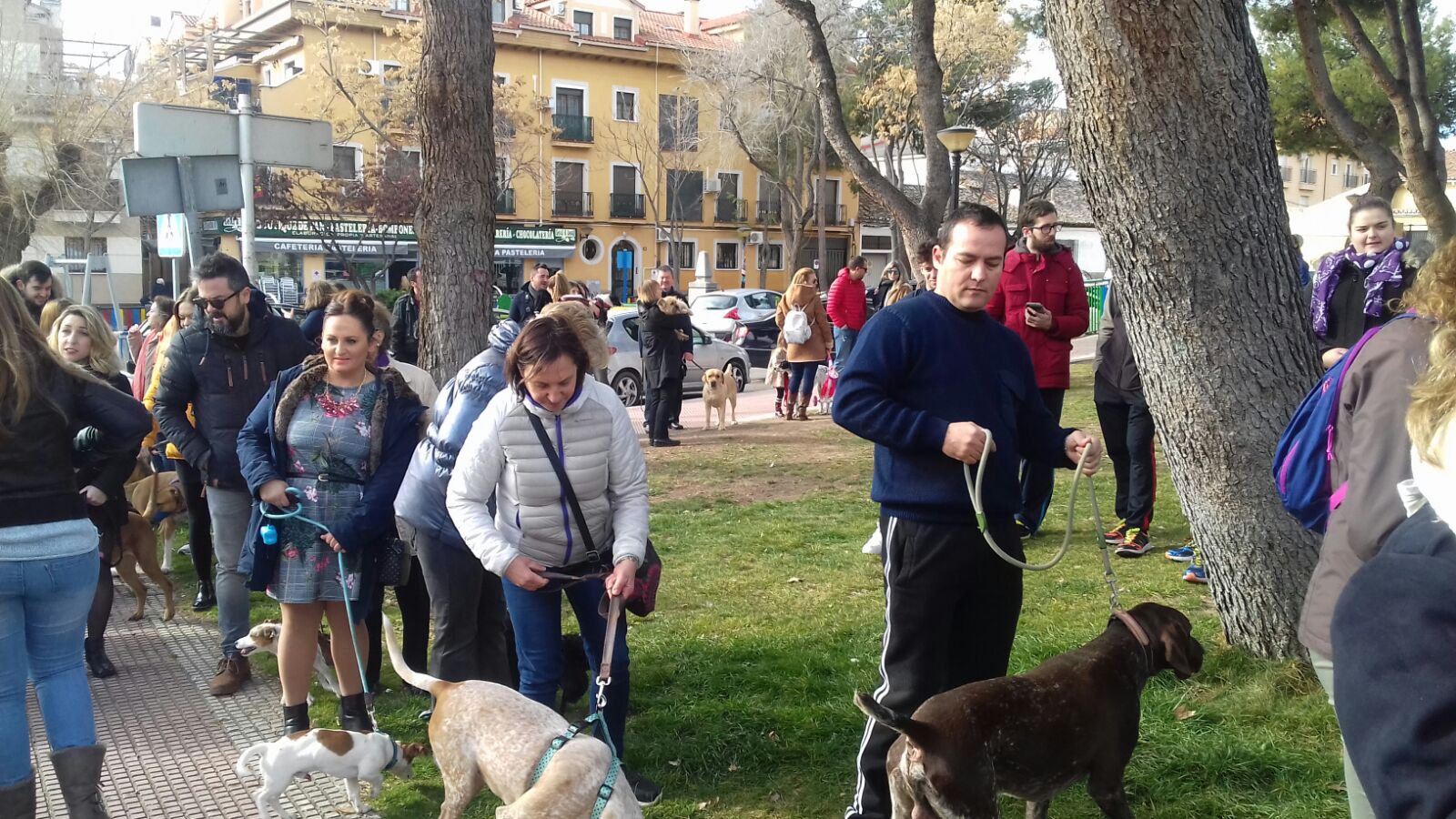 2018 San Antón