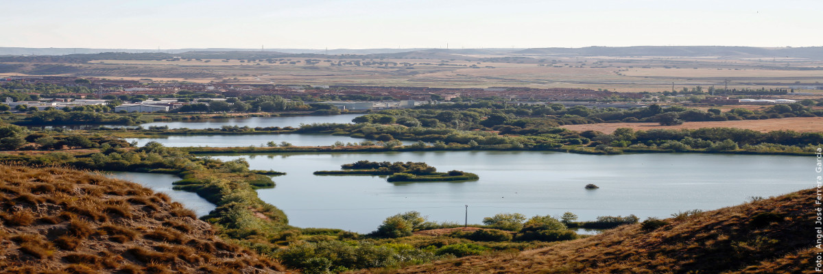 Paseo y juegos de agua por las Lagunas