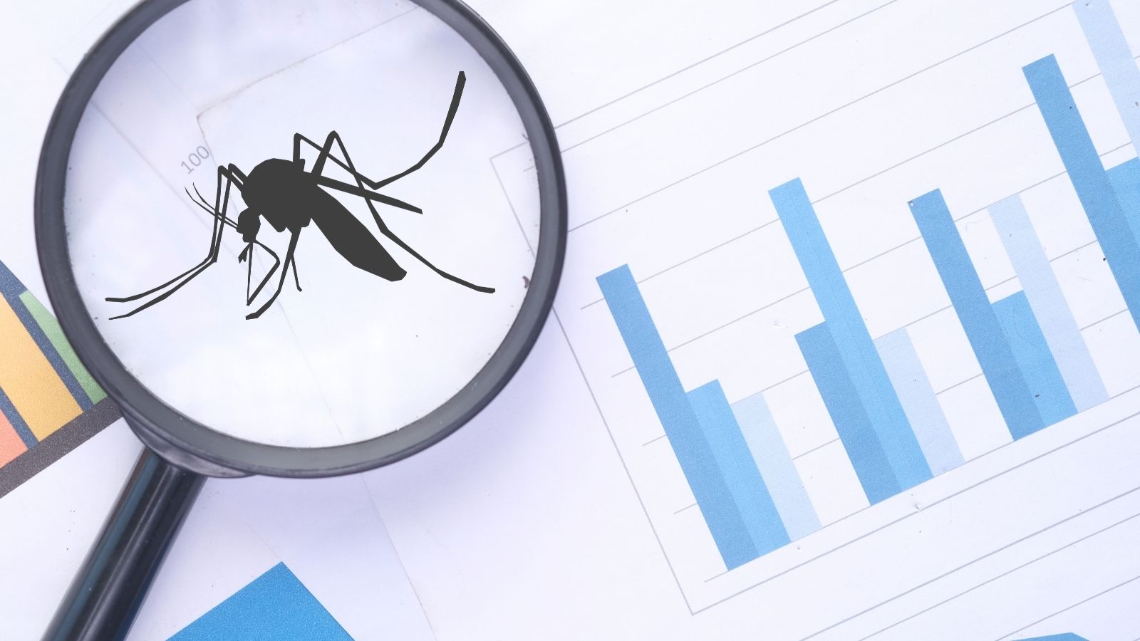 Estaciones de control del mosquito tigre