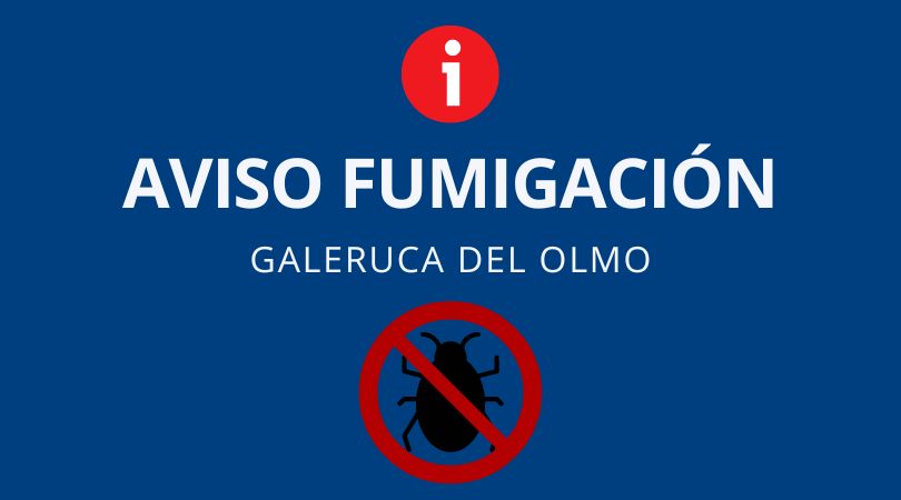 Aviso tratamiento “Galeruca del olmo” el viernes 25 de agosto