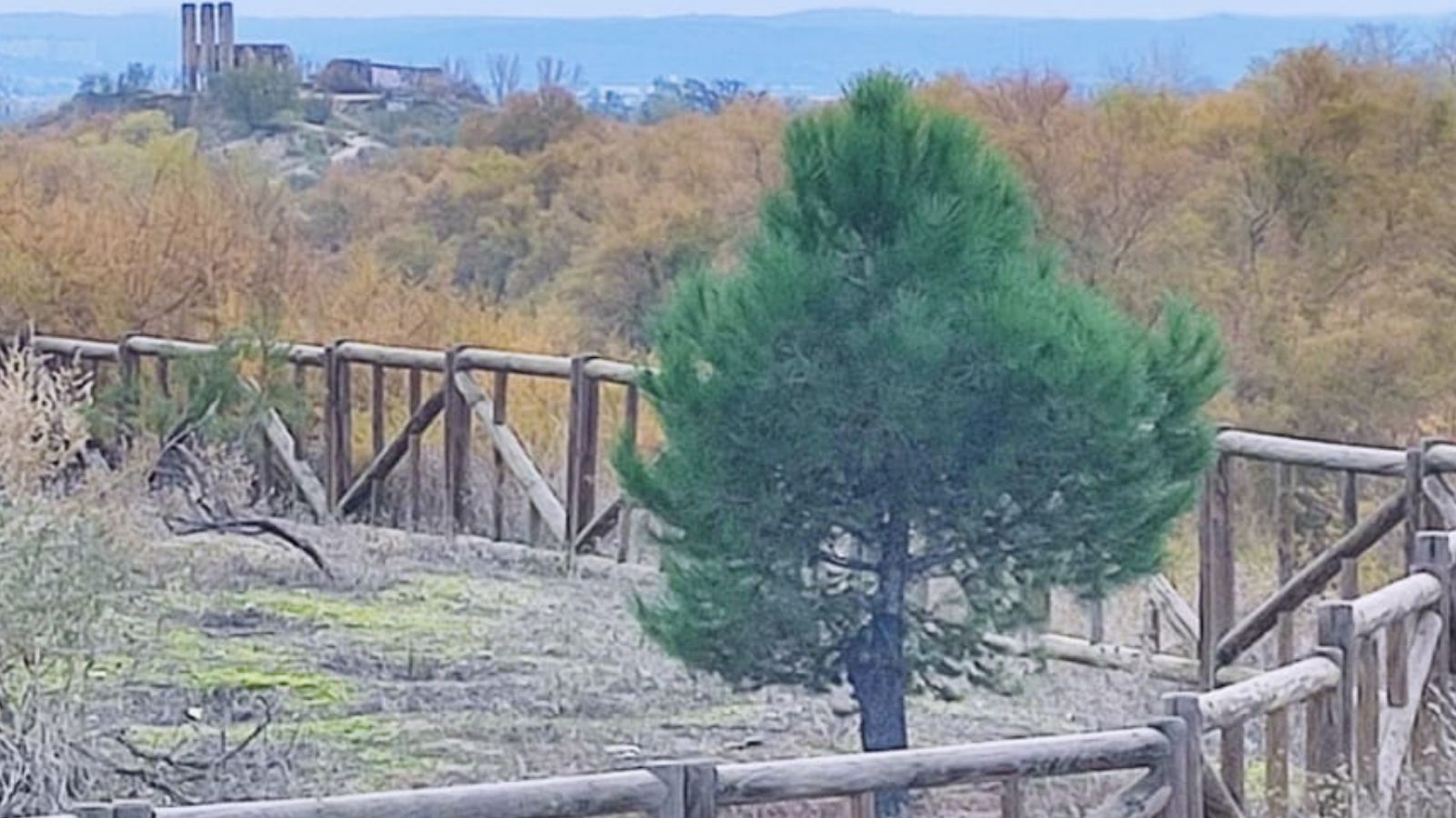 Medidas de prevención frente a las picaduras de garrapatas