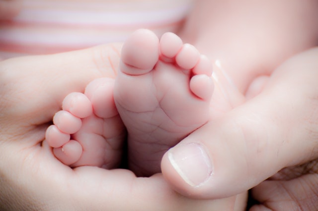 Taller sensorial para bebes Taller sensorial para bebes