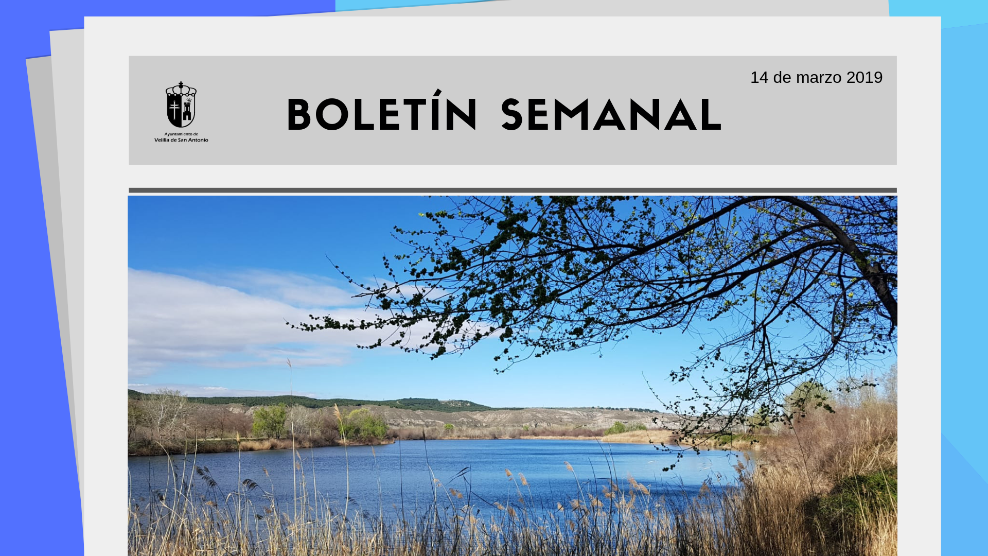 Boletín Semanal 09/2019