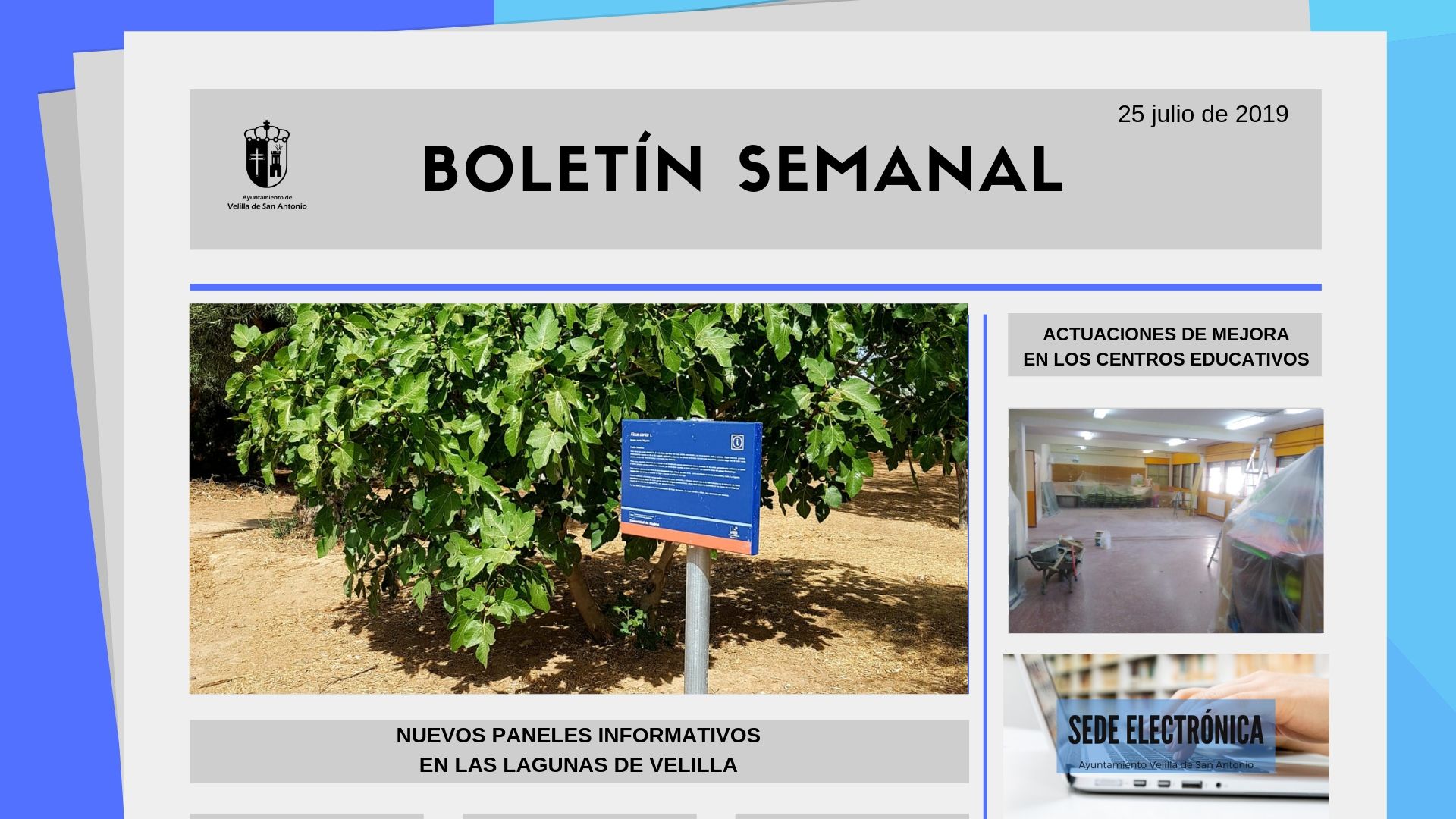 Boletín Semanal 26/2019