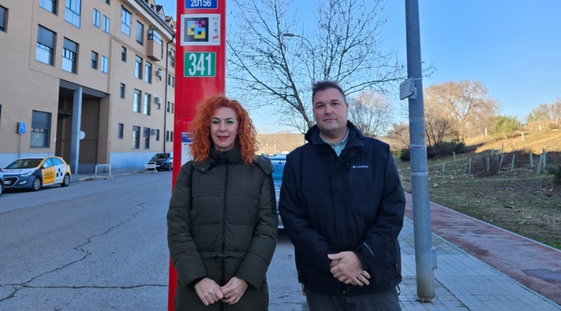 buses sector xxiii web