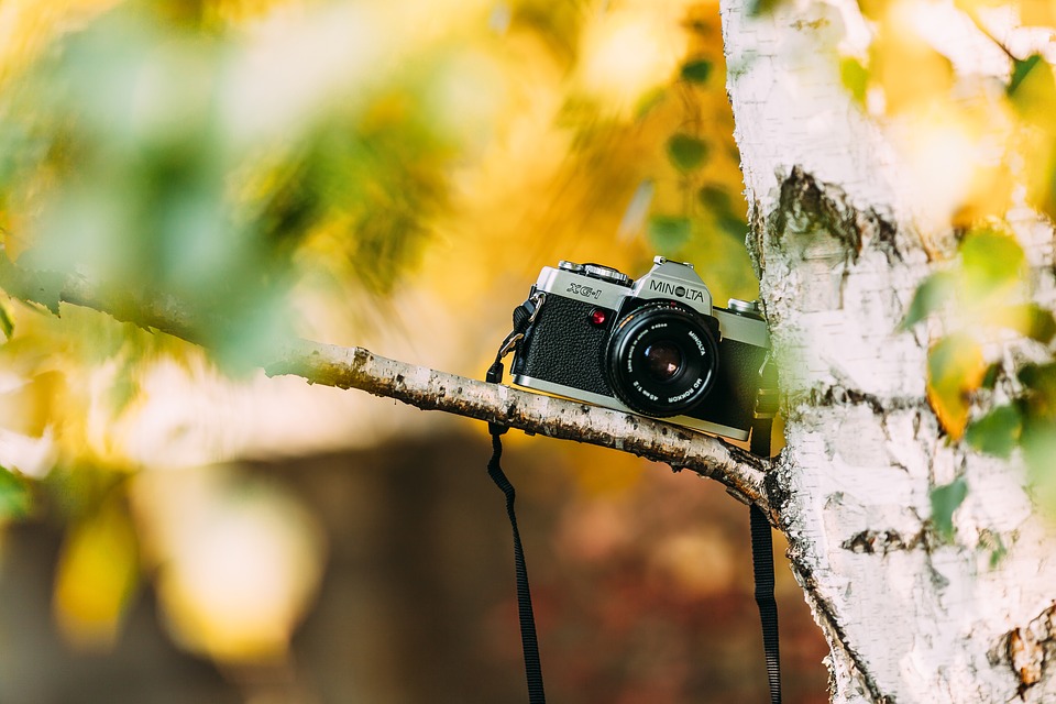 Salida fotográfica "La naturaleza a pie de foto"