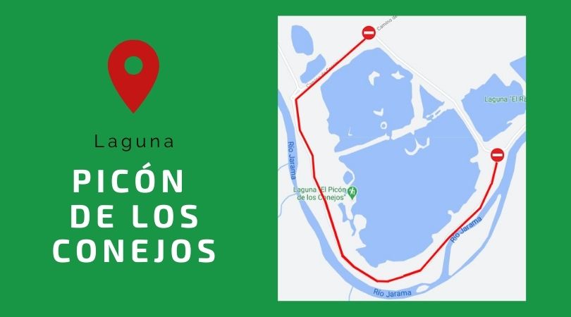 Retirada de peces muertos y trabajos de mejora del camino, en la laguna Picón de los Conejos