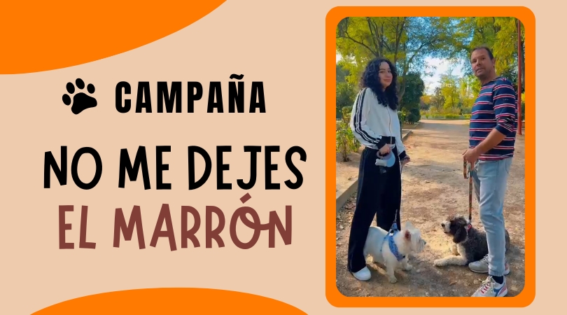 campaña no me dejes el marron web