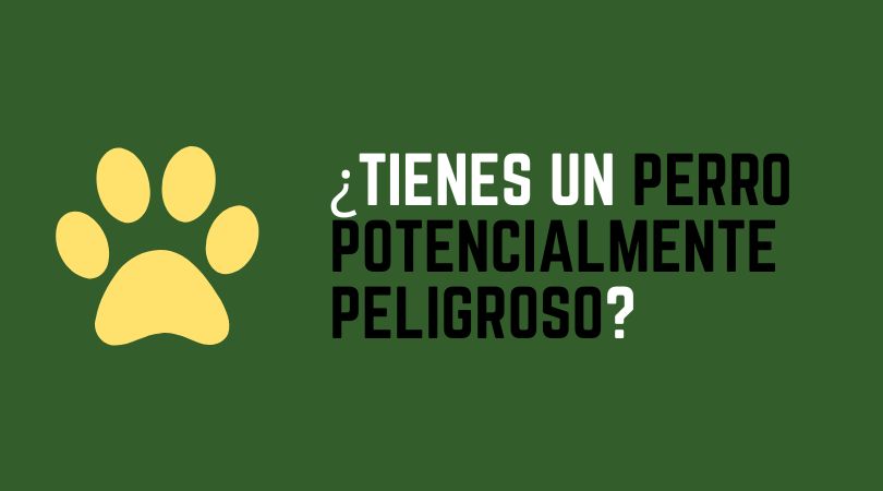 El Ayuntamiento pone en marcha una campaña de control de tenencia de perros potencialmente peligrosos