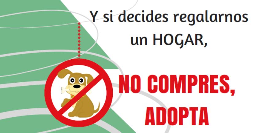 La Concejalía de Sanidad nos recuerda la responsabilidad que supone regalar mascotas en Navidad