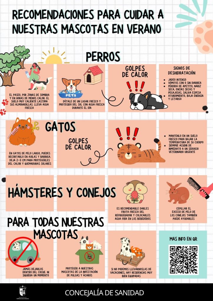 cartel recomendaciones mascotas verano