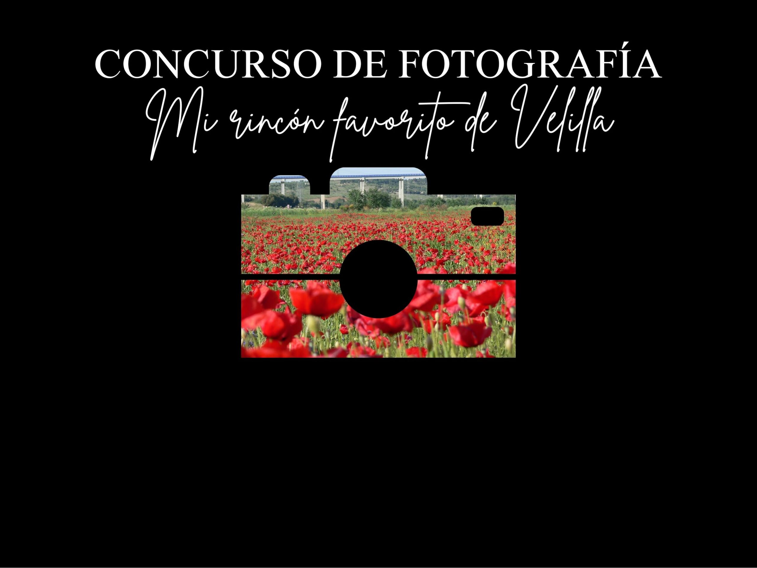 Concurso de fotografía