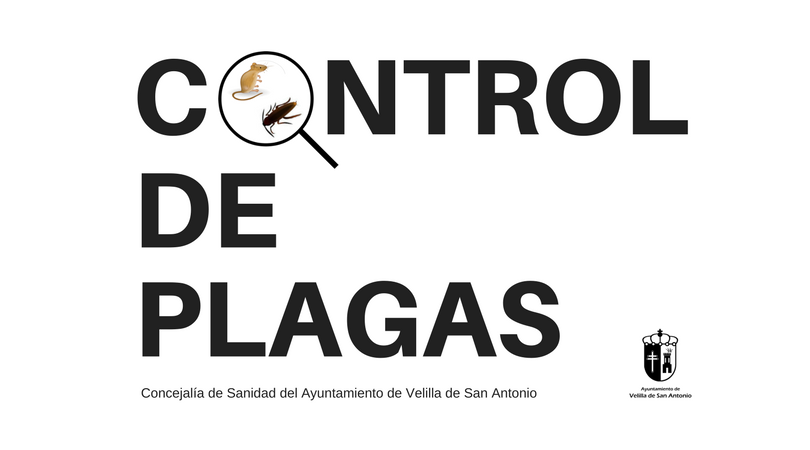 Campaña de control de plagas 2024