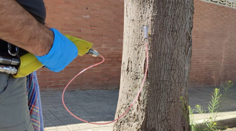 Endoterapia para combatir las plagas de pulgón