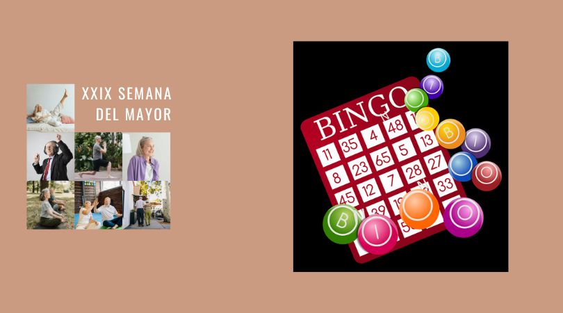 Bingo Bingo