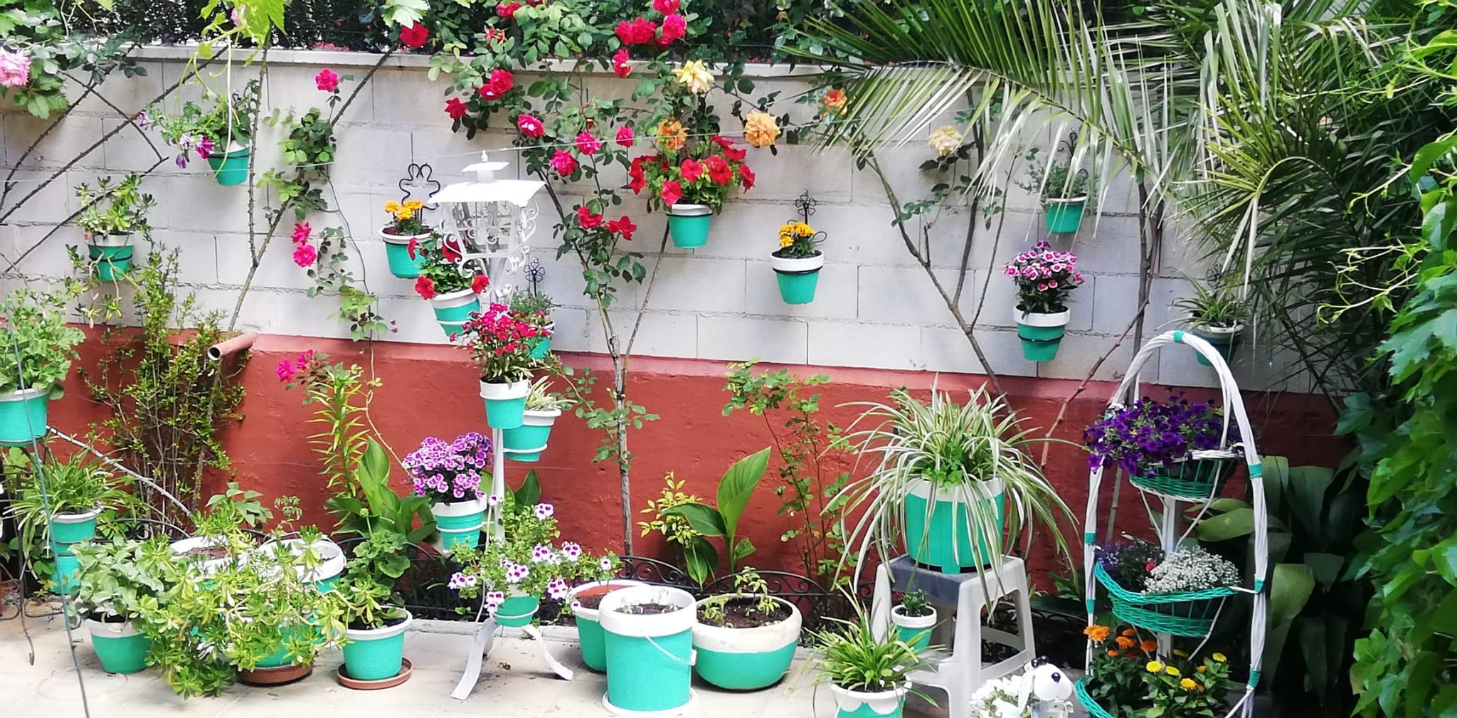 Esta semana, nuestros mayores nos abren las puertas de sus jardines