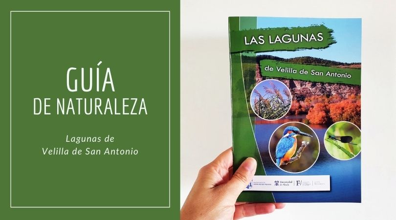 La concejalía de Medio Ambiente ha publicado una guía actualizada de las lagunas de Velilla