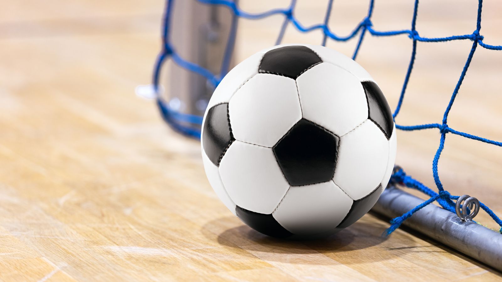 Fin de curso fútbol sala