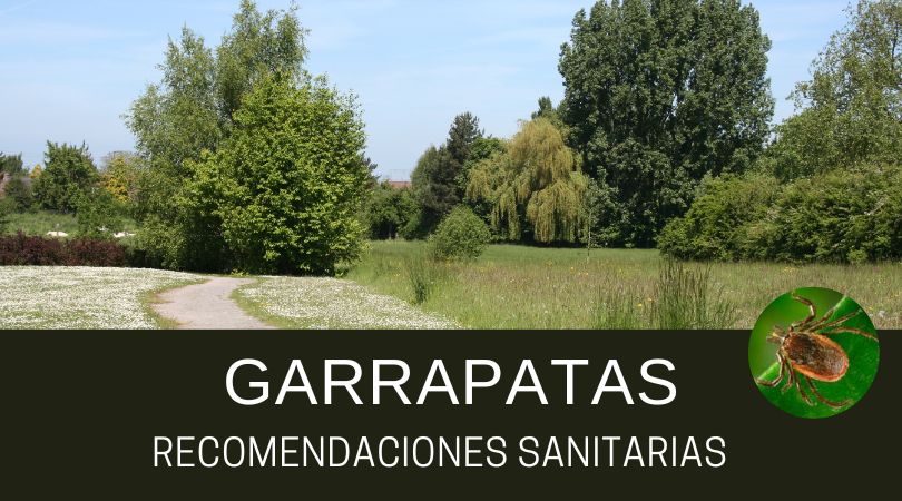 Garrapatas. Recomendaciones sanitarias