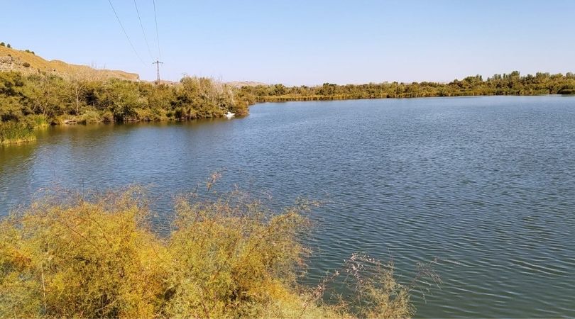 Ya han finalizado los trabajos de retirada de los peces muertos en la laguna Picón de los Conejos