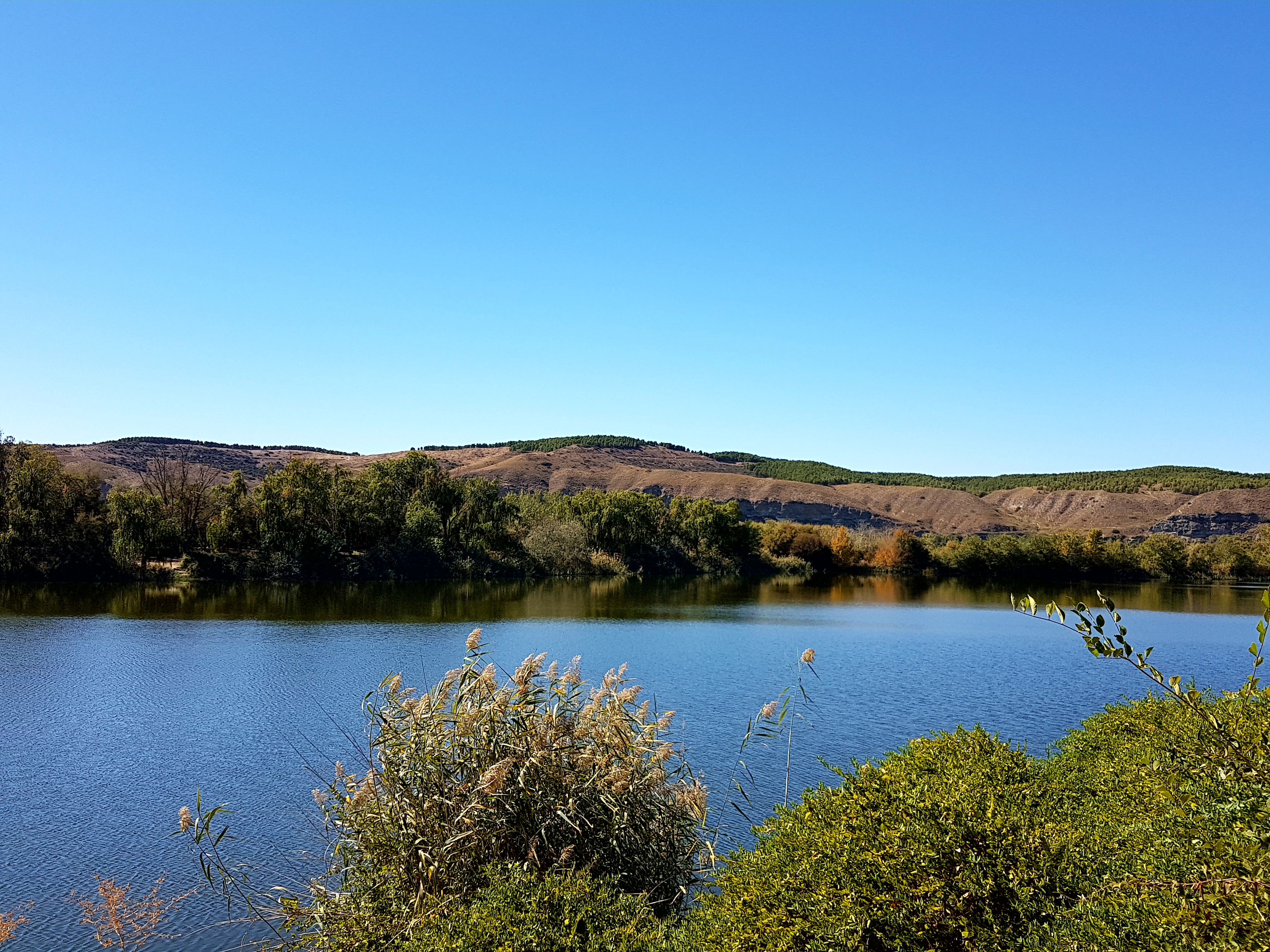 La evolución del estudio de los humedales y la instalación de bancos, papeleras y puestos de pesca en la laguna, conclusiones de la reunión de la Comisión de Medio Ambiente