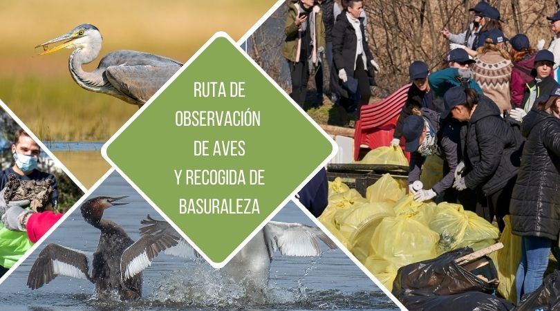 Ruta de observación de aves y recogida de basuraleza