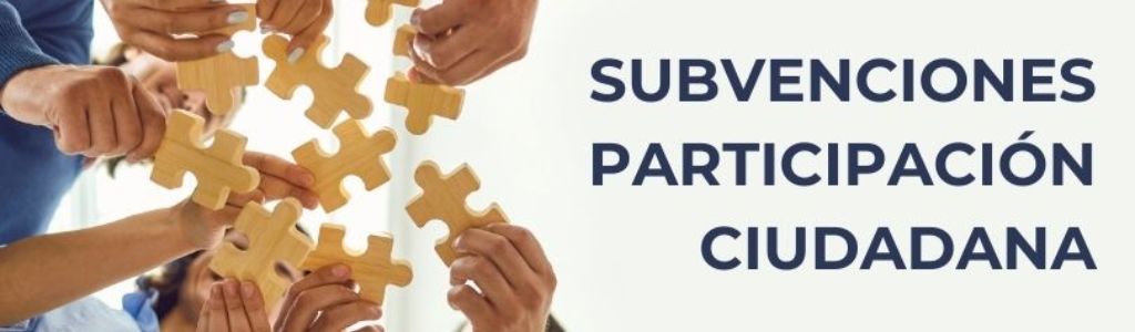 metaslider subvenciones participacion ciudadana
