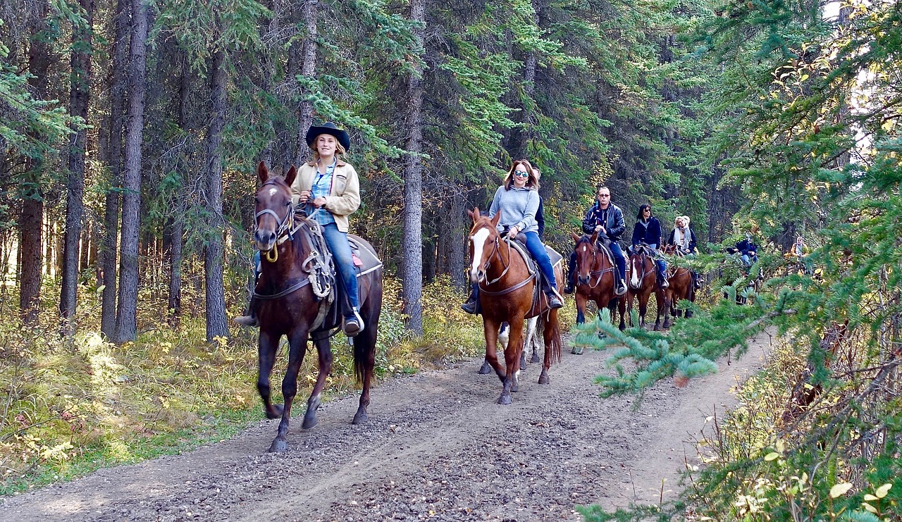Excursión a caballo Buitrago de Lozoya Excursión a caballo Buitrago de Lozoya