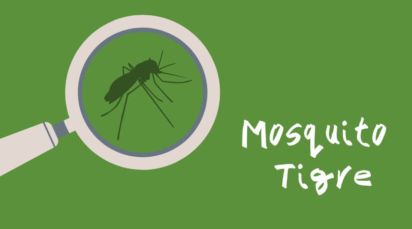 Reunión informativa sobre el mosquito tigre