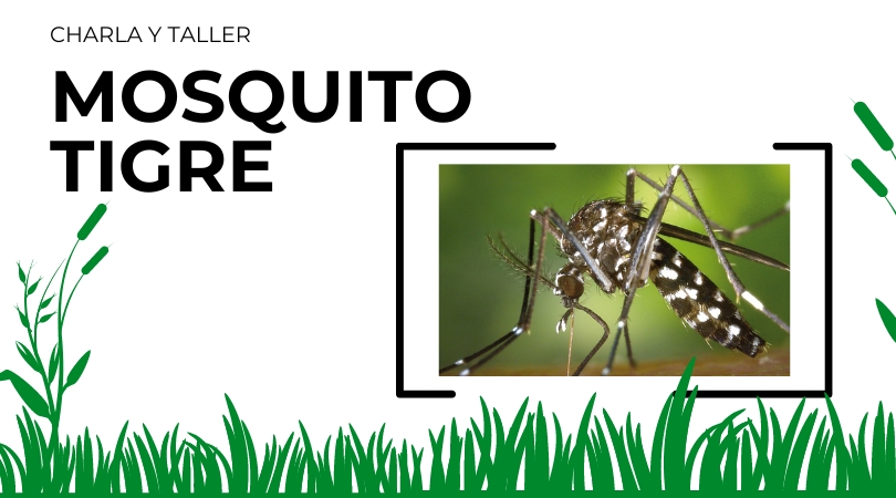 Charla y taller formativo sobre el mosquito tigre