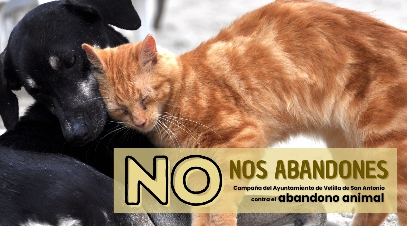no nos abandones web