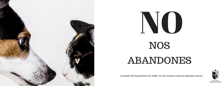 "NO NOS ABANDONES", Campaña del Ayuntamiento de Velilla de San Antonio contra el abandono de los animales.