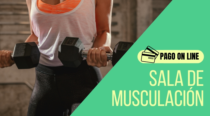 Ya puedes pagar la mensualidad de la sala de musculación desde la plataforma Deportes Online