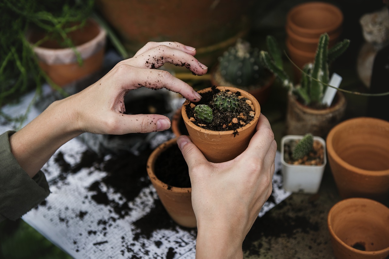 Taller “Plantemos en igualdad”