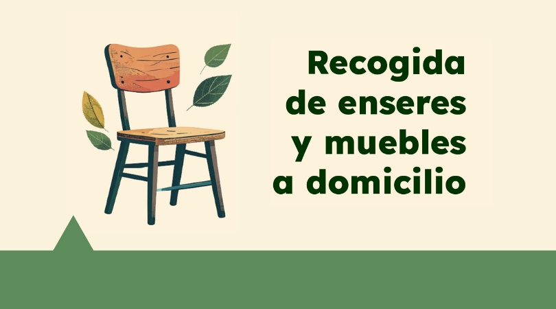 recogida enseres web