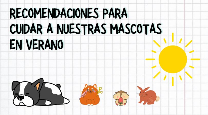 Recomendaciones para cuidar a nuestras mascotas en verano