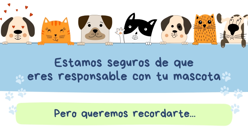 Estamos seguros de que eres responsable con tu mascota, pero queremos recordarte...