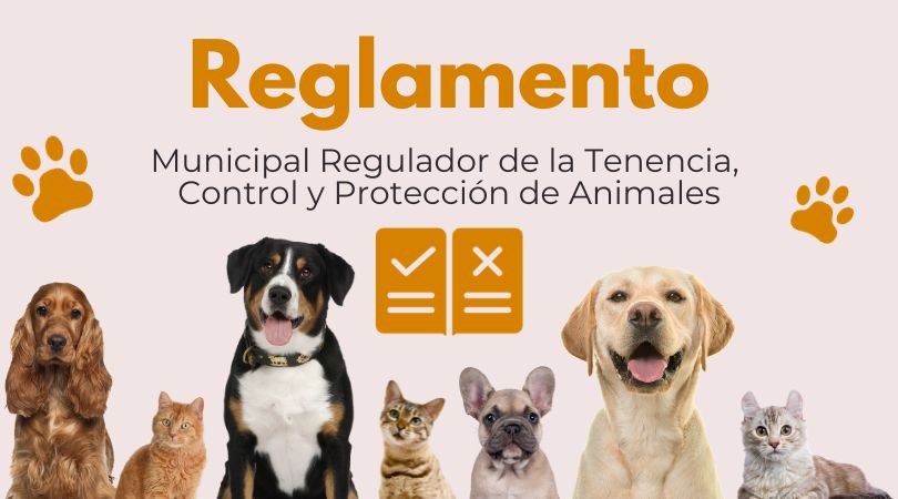 Recuerda que si tienes un animal de compañía es obligatorio cumplir con el Reglamento Municipal