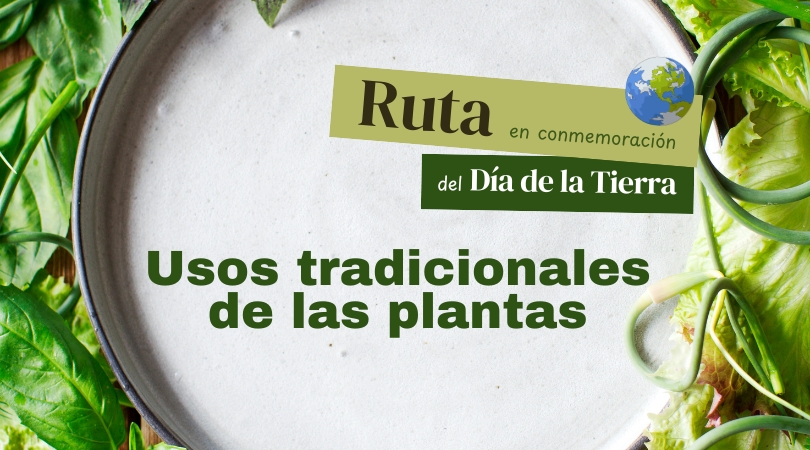 Ruta "Usos tradicionales de las plantas"