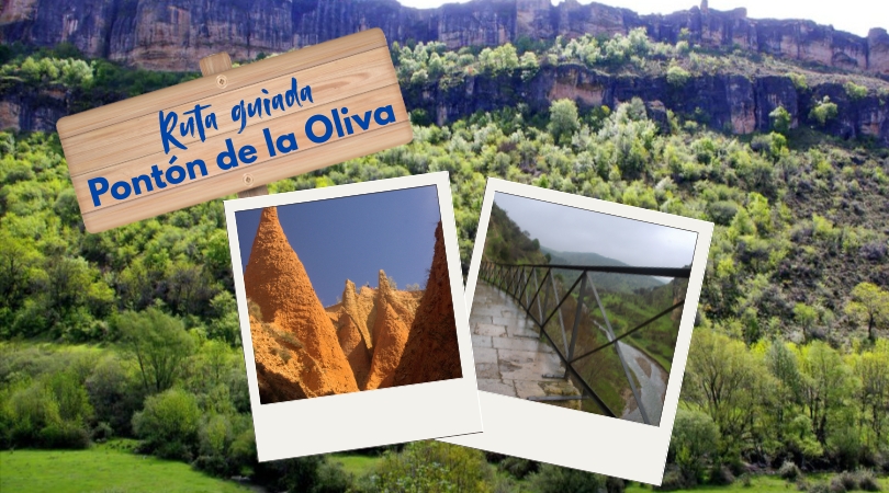 Ruta guiada al Pontón de la Oliva