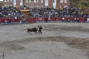 2022 Suelta de toros y vaquillas