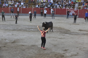 2022 Suelta de toros y vaquillas