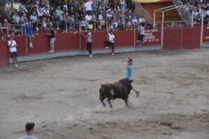 2022 Suelta de toros y vaquillas