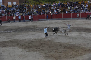 2022 Suelta de toros y vaquillas