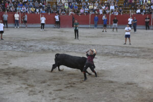 2022 Suelta de toros y vaquillas