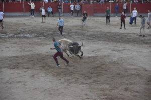 2022 Suelta de toros y vaquillas