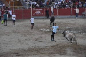 2022 Suelta de toros y vaquillas