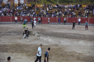 2022 Suelta de toros y vaquillas