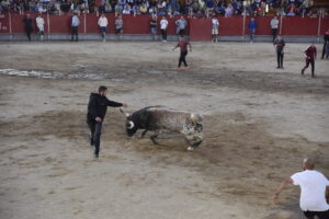 2022 Suelta de toros y vaquillas